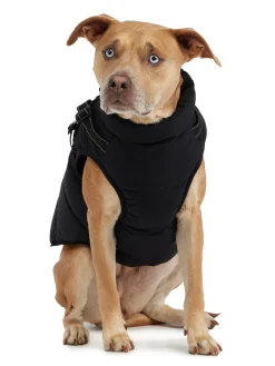 Store Atlas Manteau Avec Harnais Ajustable Pour Chiens Pup Manteaux Pour Chiens