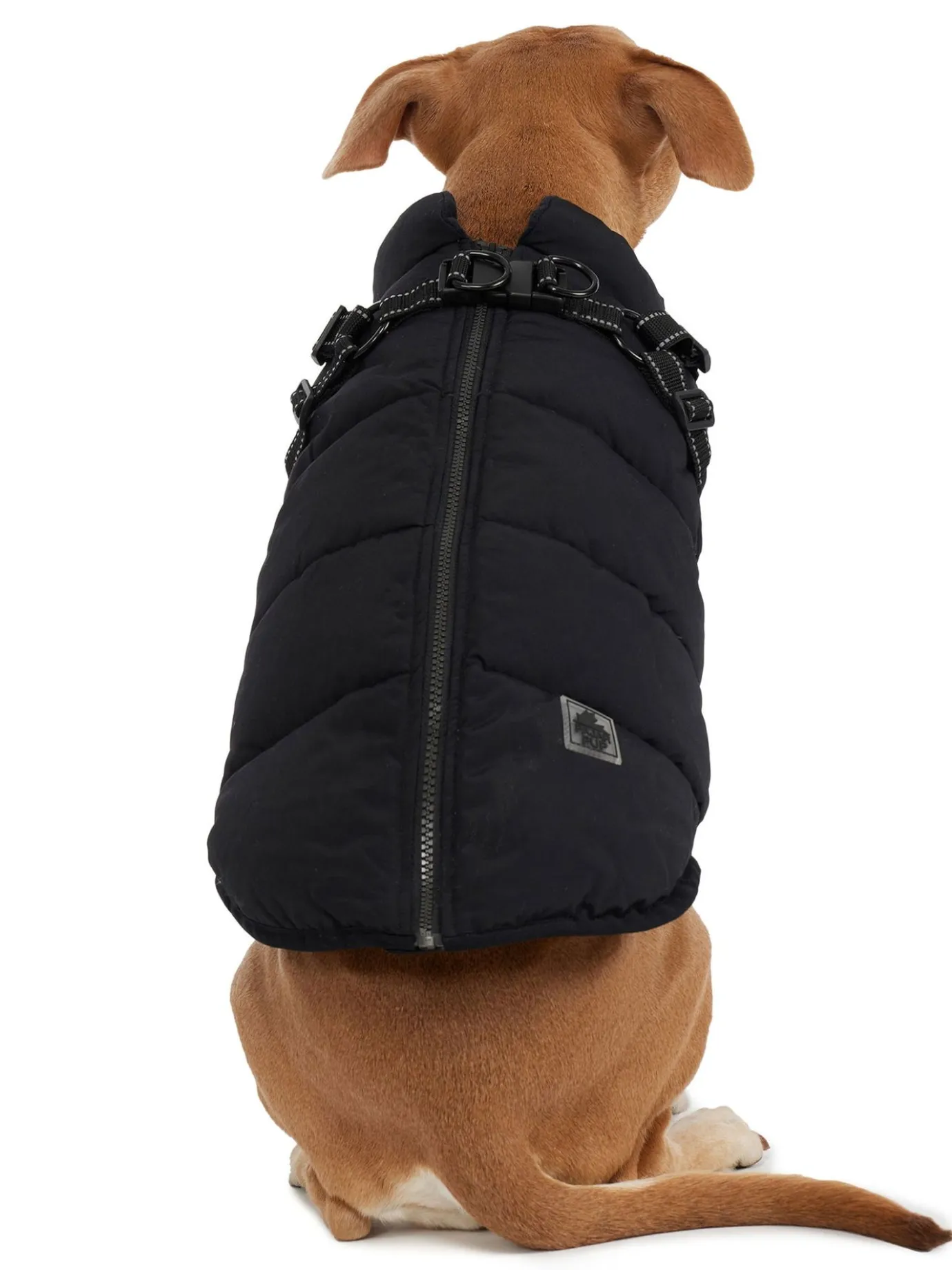 Store Atlas Manteau Avec Harnais Ajustable Pour Chiens Pup Manteaux Pour Chiens