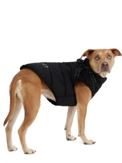 Store Atlas Manteau Avec Harnais Ajustable Pour Chiens Pup Manteaux Pour Chiens