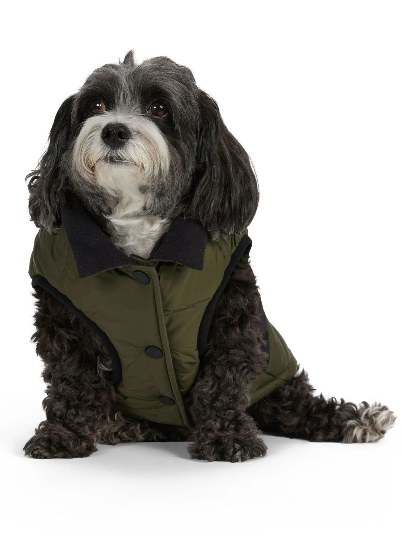 Best Sale Beau Manteau Avec Attache De Laisse Pour Chiens Pup Manteaux Pour Chiens