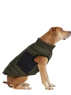 Best Sale Beau Manteau Avec Attache De Laisse Pour Chiens Pup Manteaux Pour Chiens