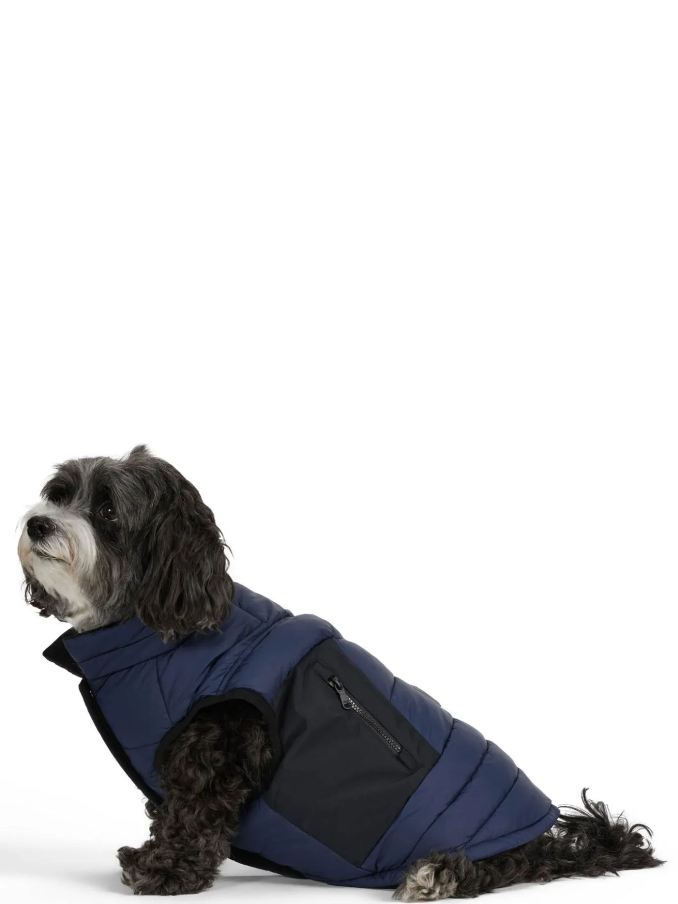 Clearance Beau Manteau Avec Attache De Laisse Pour Chiens Pup Manteaux Pour Chiens