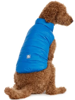Shop Cora Manteau Reversible Et Compressible Pour Chiens Pup Manteaux Pour Chiens