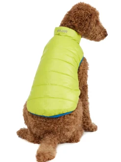 Shop Cora Manteau Reversible Et Compressible Pour Chiens Pup Manteaux Pour Chiens