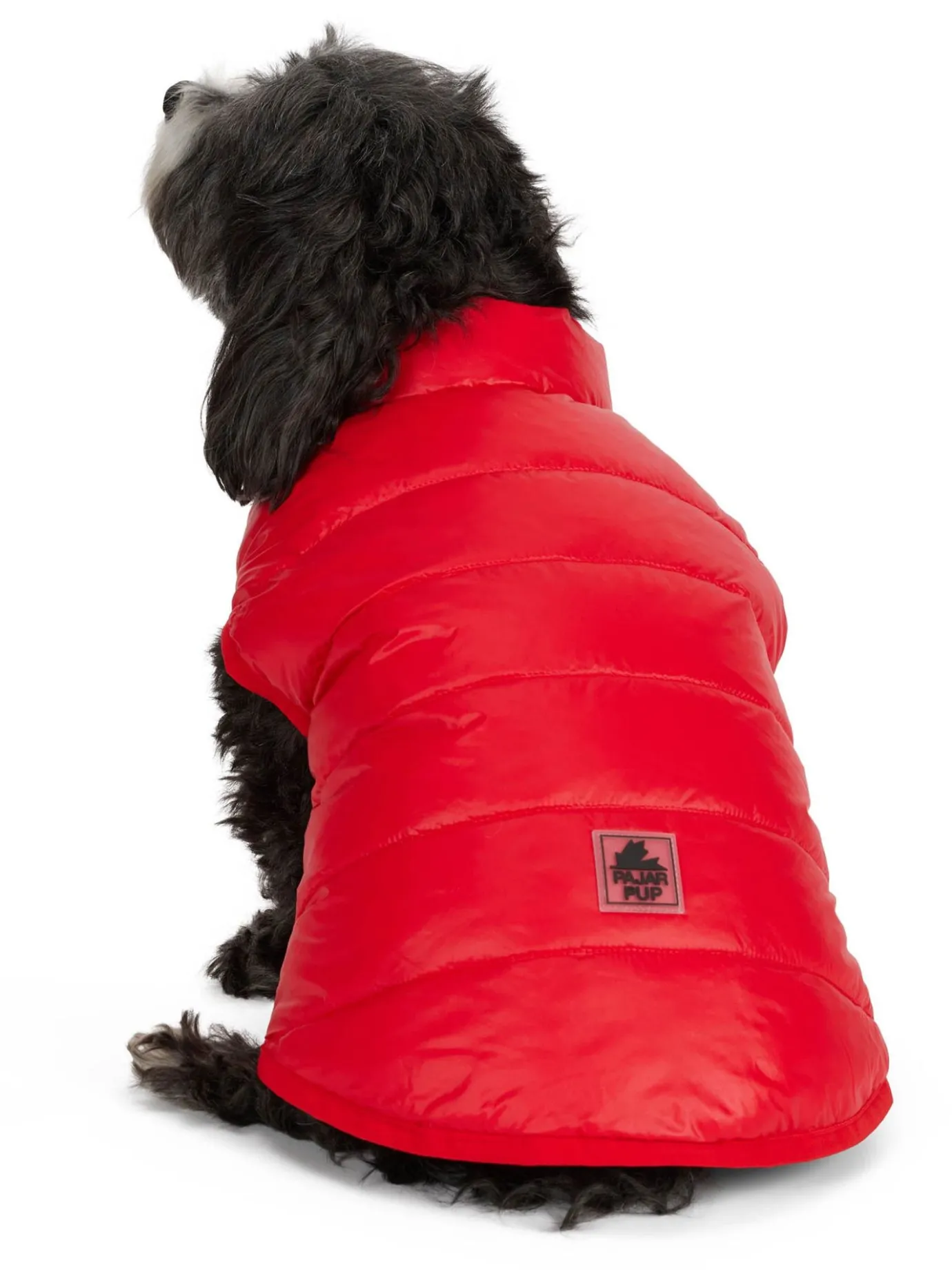Shop Cora Manteau Reversible Et Compressible Pour Chiens Pup Manteaux Pour Chiens