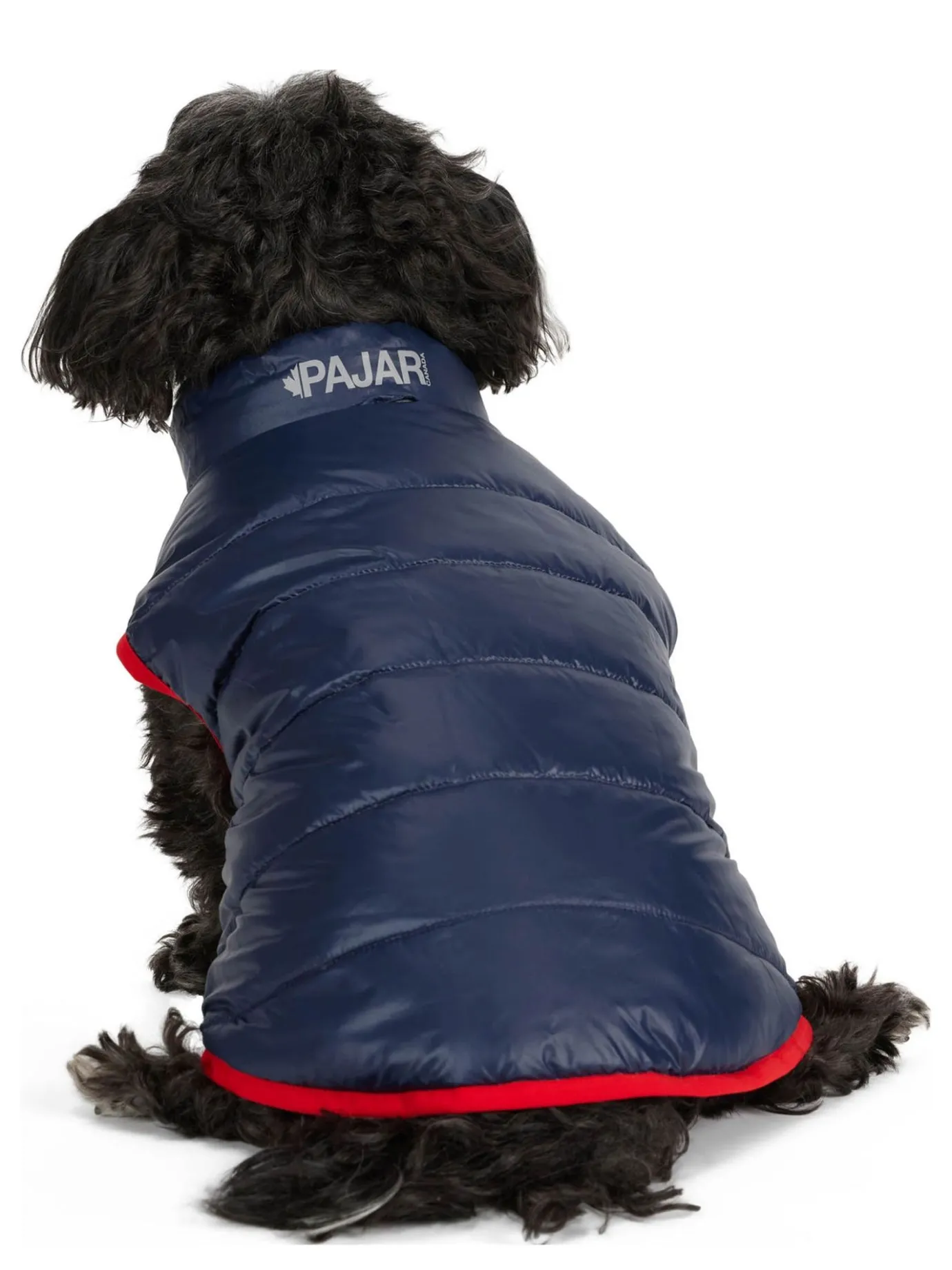 Shop Cora Manteau Reversible Et Compressible Pour Chiens Pup Manteaux Pour Chiens