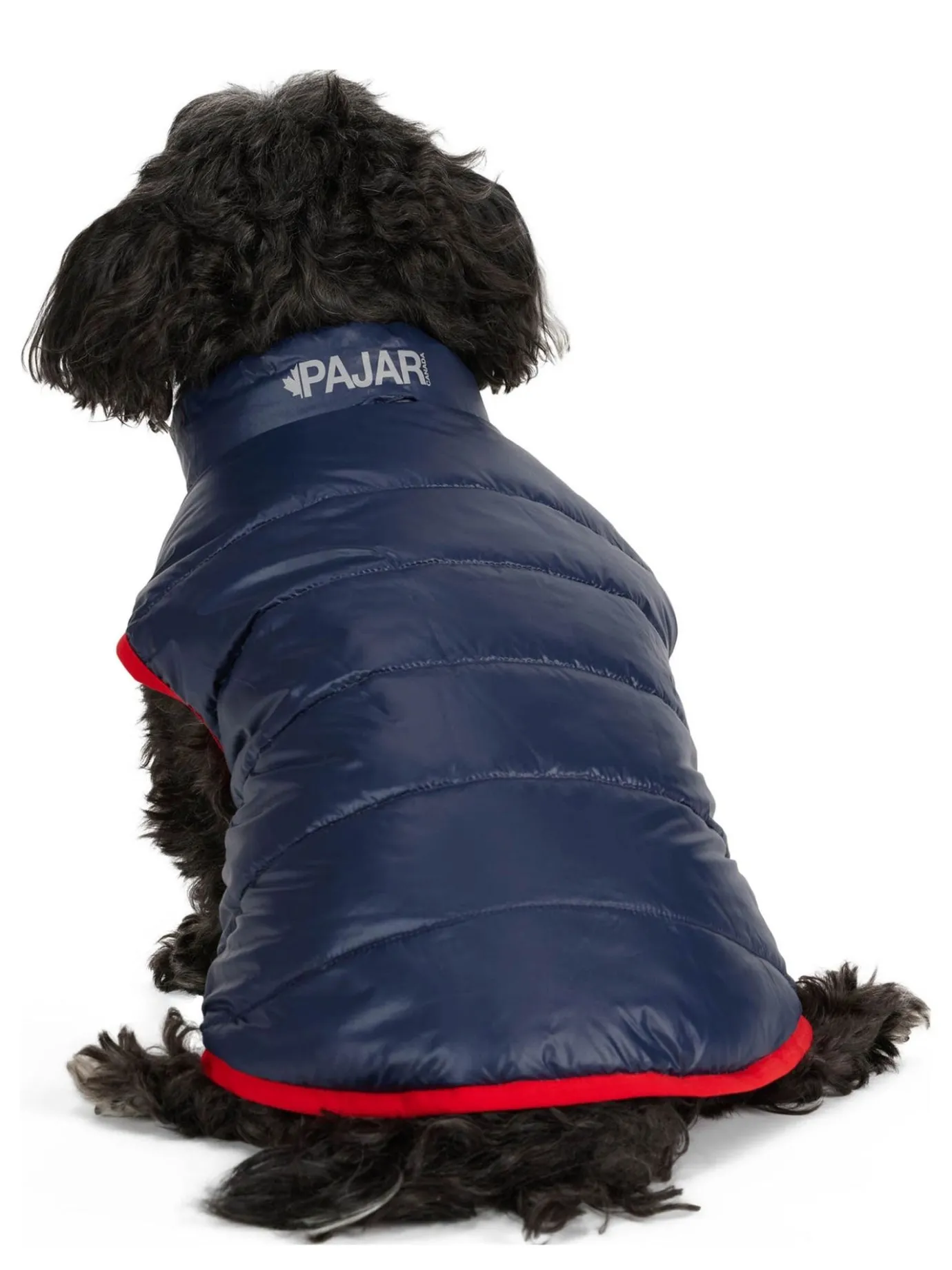 Flash Sale Cora Manteau Reversible Et Compressible Pour Chiens Pup Manteaux Pour Chiens