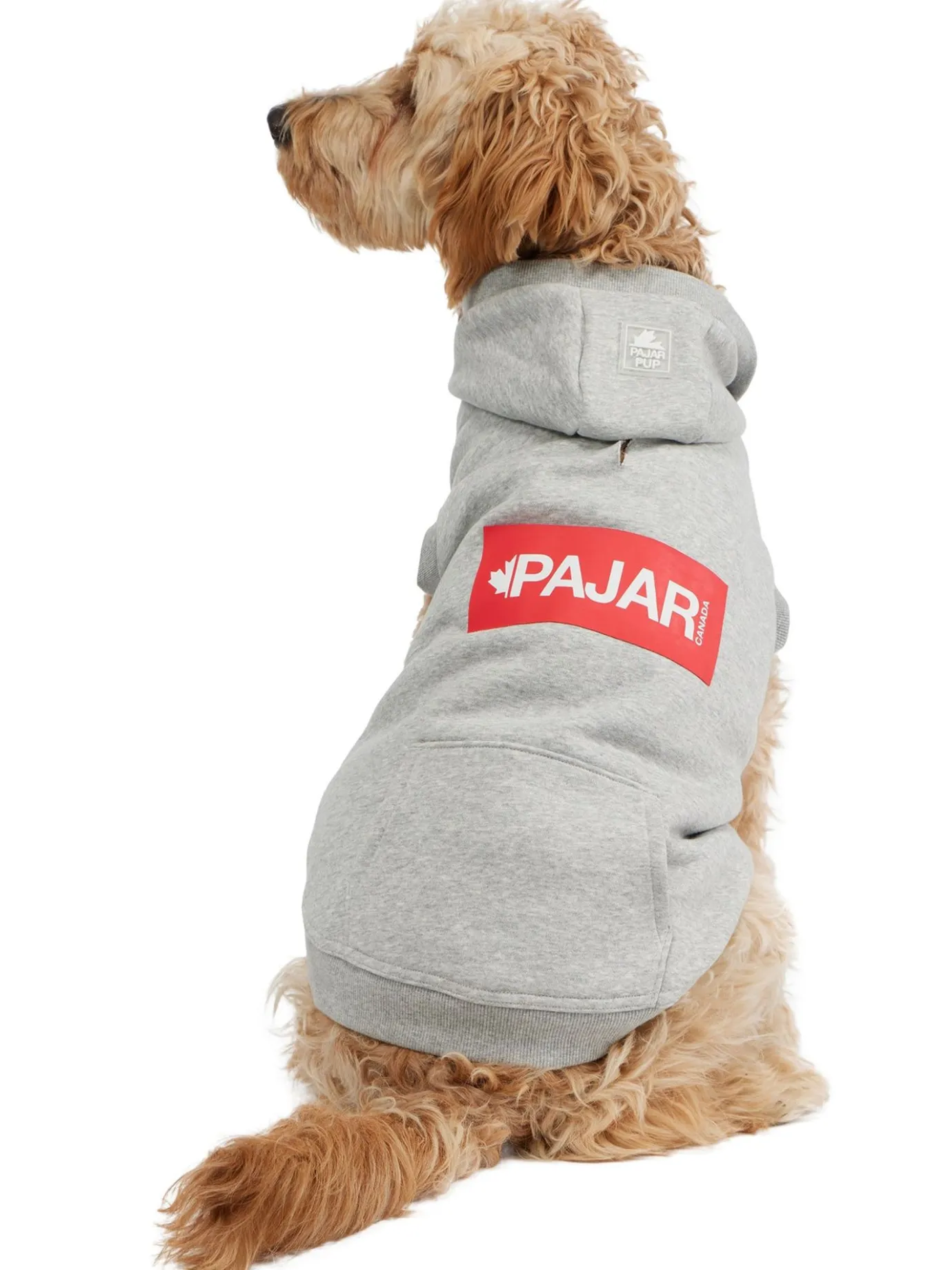 Fashion Dash Capuche Pour Chiens Pup Manteaux Pour Chiens