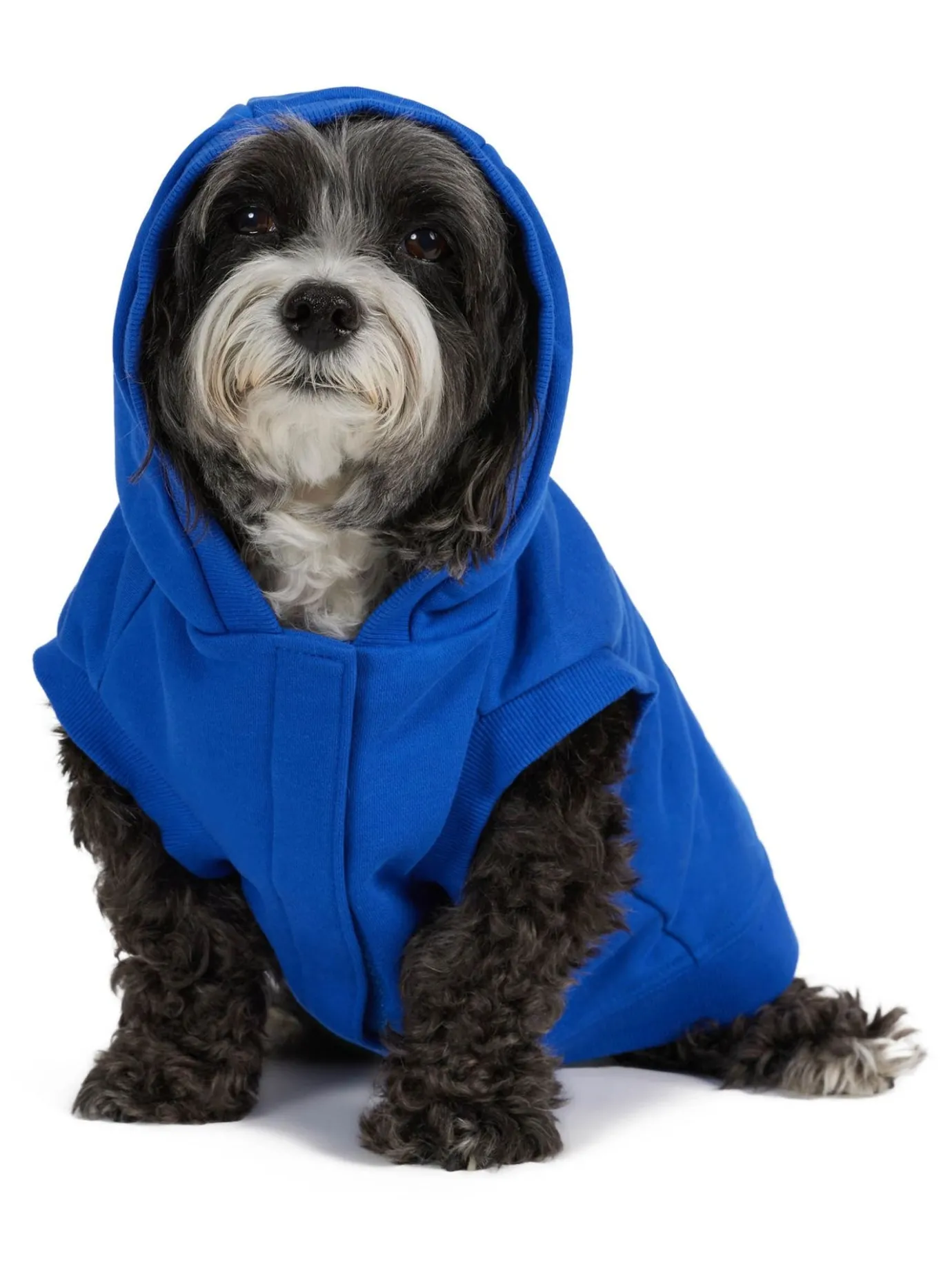 Sale Dash Capuche Pour Chiens Pup Manteaux Pour Chiens