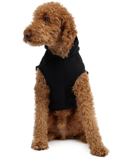 Sale Dash Capuche Pour Chiens Pup Manteaux Pour Chiens