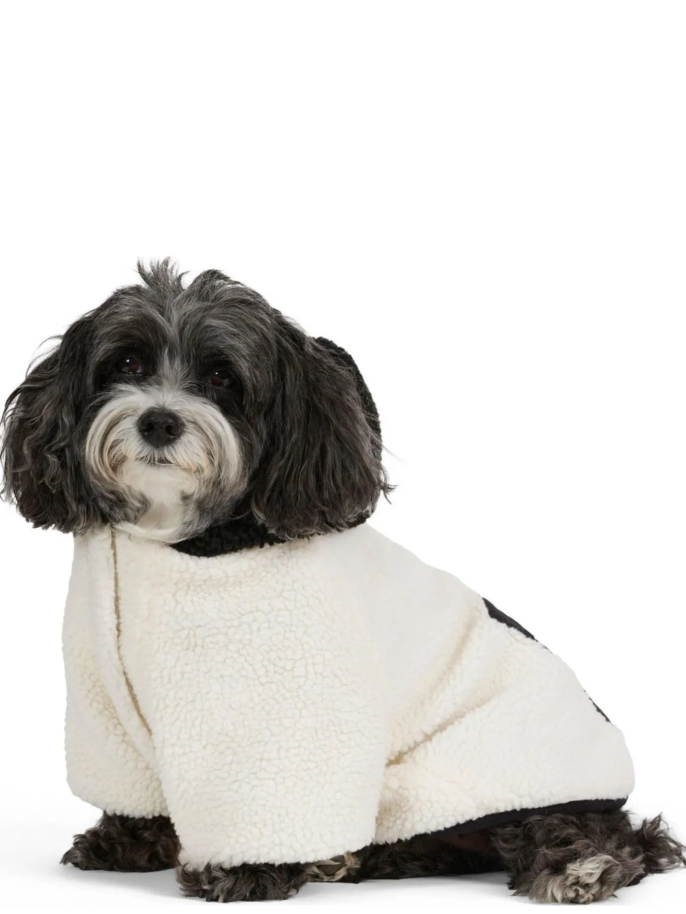 Best Max Manteau Avec Capuchon Pour Chiens Pup Manteaux Pour Chiens