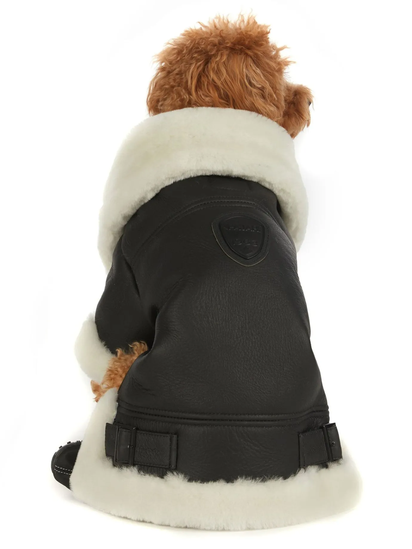Shop Preston Manteau En Cuir Vegetalien Pour Chiens Pup Manteaux Pour Chiens