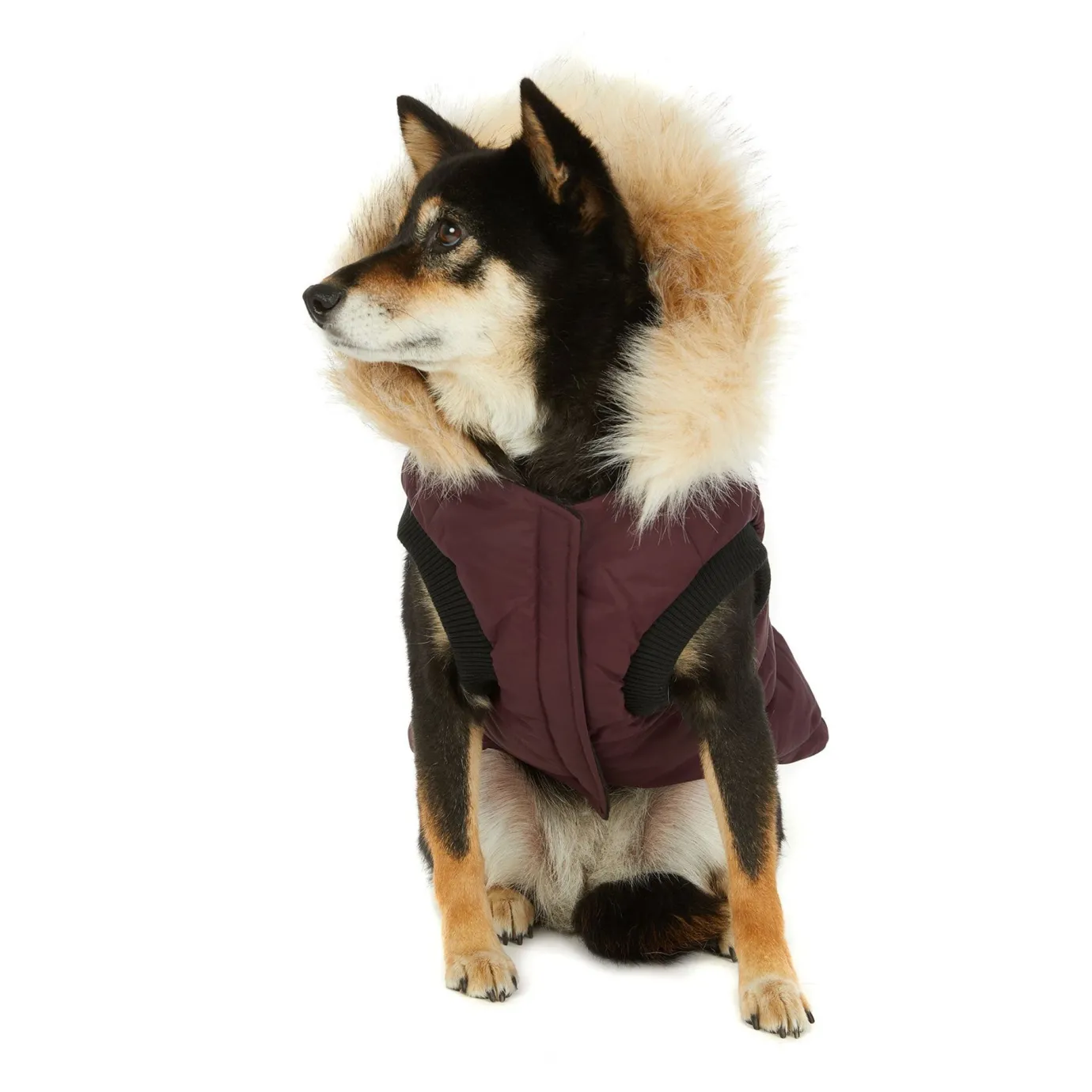 New Toby Manteau Pour Chiens Pup Manteaux Pour Chiens