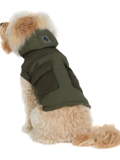 New Zeus Manteau Pour Chiens Avec Contour En Fausse Fourrure Pup Manteaux Pour Chiens