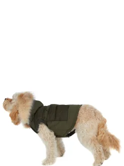 New Zeus Manteau Pour Chiens Avec Contour En Fausse Fourrure Pup Manteaux Pour Chiens