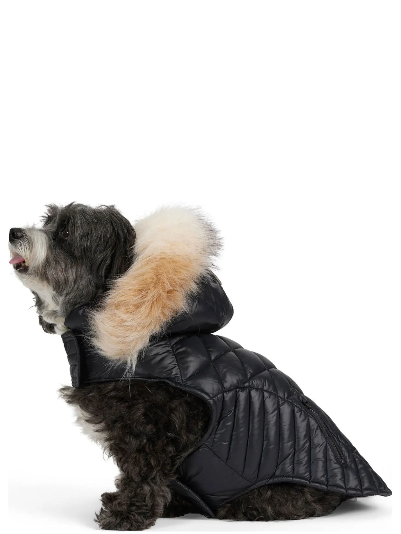 Fashion Zola Manteau Pour Chiens Avec Contour En Fausse Fourrure Pup Manteaux Pour Chiens